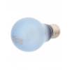 Repti Planet Žárovka Daylight Neodymium 75 W