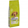 Purina Dog Chow Adult Lamb&Rice 14Kg