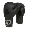 B-2v12 12 OZ BOXERSKÉ RUKAVICE DBX BUSHIDO