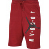 Nike Air Jordan Shorts CU2694-687 R.L (Nike Air Jordan Shorts CU2694-687 R.L)