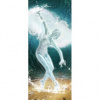 Dverová fototapeta - DV0637 - Vodná baletka 91cm x 211cm - Samolepiaca fólia
