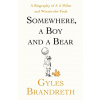 Somewhere, A Boy And A Bear