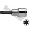 TRIUMF Torx nadstavec v 3/8