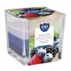 Aura Bispol Forest Fruits vonná sviečka 170g