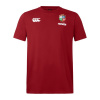Canterbury British and Irish Lions T-Shirt 2024 Adults Red Dahlia 3XL