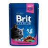 Brit Premium Cat kapsa with Chicken & Turkey 100 g - 1Ks