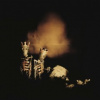 Pearl Jam - Riot Act / Vinyl / 2LP [2 LP]