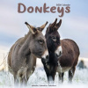 Donkeys, 30,5 x 30,5 30,5 x 61 cm 2026