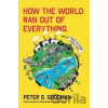 How the World Ran Out of Everything - Peter S. Goodman