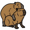 CUKROVÁ TLAČ jedlý obrázok na tortu Cukrová hmota Kapybara Capybaras + MENO