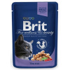 BRIT Premium cat Kapsička Adult Cod Fish 100 g