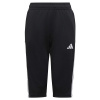 Shorts adidas Tiro 23 3/4 Pants Jr HS3552 (125450) 152 cm