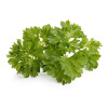 Click and Grow náplň pre smart kvetináče a farmy - Petržlen 3ks v balení