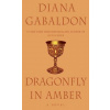 Dragonfly in Amber