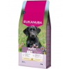 EUKANUBA Puppy Large Breeds Chicken 15 kg Suché krmivo pre šteniatka veľkých plemien bohaté na čerstvé kurča
