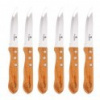 BERLINGERHAUS Nôž steakový WILD JACK´S sada 6 ks BH-2106