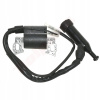 Zapaľovacia cievka pre kosačku - Čínske motory Coil-Shiphyard 1p65f (Čínske motory Coil-Shiphyard 1p65f)