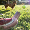 Vrhač loptičiek Play Dog InnovaGoods