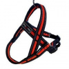 Postroj Gimborn Mesh Y 2,5x70 72-90cm oranžový