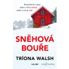 Sněhová bouře - Tríona Walsh - online doručenie