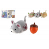 Teddies Veverička so žaluďom plast 5cm na batérie 3 farby v krabičke 9x7x9cm