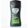 Axe Wasabi pánsky sprchový gél 250 ml