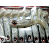 Mistrall GM1101014 Mistrall Dominator 6,5cm f.14