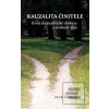 Kauzalita činitele (Petr Dvořák)