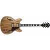 Ibanez Artcore Expressionist AM93ZW-NT