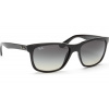 Ray-Ban RB4181 601/71 57