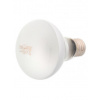 Repti Planet Žárovka Daylight Frosted 100 W