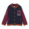 MIKINA HARRY POTTER Rokfort