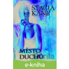 E-kniha Město duchů - Stacia Kane