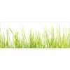 Obklad do kúpeľne mySPOTTI aqua Gras 120x45 cm