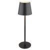 GLOBO VANNIE 58438G