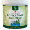 Herbamedicus GmbH KONSKÁ MASŤ S KONOPOU CHLADIVÁ 1x250 ml