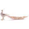 Páv MagicHome F4883, zlatý, 34x12x15 cm, páperový