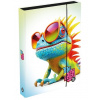 Karton PP Box na zošity A4 Chameleon