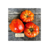 Paradajka Pantano Romanesco - Solanum lycopersicum - predaj semien - 7 ks