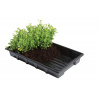 Garland Professional Seed Trays bez díry (37 X 23.5 X 5 CM) - balení 5ks