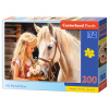 My friend Horse (222315)