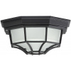 Nástenná lampa Rabalux - Vonkajšie stropné svietidlo 1xE27/100W/230V IP44 (8346)