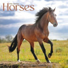 Horses, 30,5 x 30,5 30,5 x 61 cm 2026