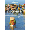 Lonely Planet Indonesian Phrasebook & Dictionary