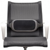 Opierka Fellowes I-Spire Lumbar pod chrbát, šedá