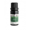 NOBILIS Máta peprná 5 ml