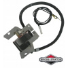 Zapaľovacia cievka pre kosačku - B&S Briggs 3,5 km Classic 500 Ignition Coil (B&S Briggs 3,5 km Classic 500 Ignition Coil)