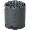 Sony SRSXB100B.CE7 Bluetooth® reproduktor hlasitý odposlech, odolná vůči stříkající vodě černá
