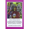 Záhadný posol - Povesti a príbehy z Považia 5 - Anna Černochová