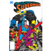 Superman: The Man of Steel Volume 2